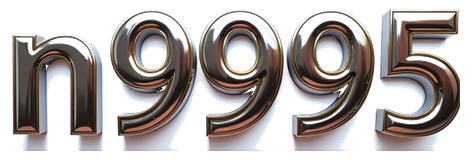 n9995 logo